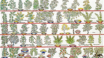 藏藥材資源分布、發(fā)展史